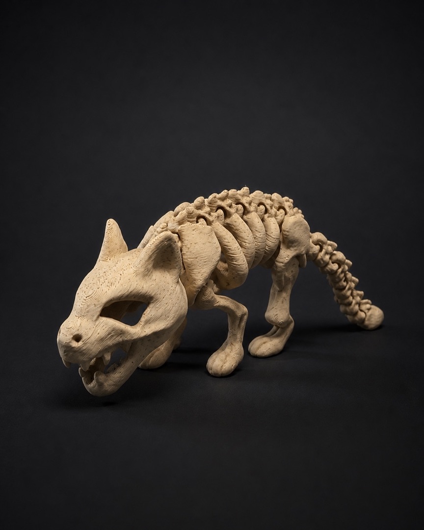 Gato esqueleto 3D